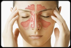 sinusitis_s1_woman_sinus_cavity